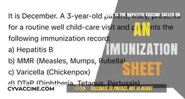 Hepatitis Vaccine Name: Identifying It on Your Immunization Record