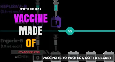 Understanding the Hepatitis A Vaccine: Ingredients and Composition Explained