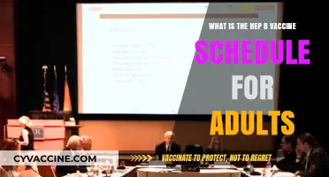Hepatitis B Vaccine Schedule for Adults: Timing and Dosage Guide