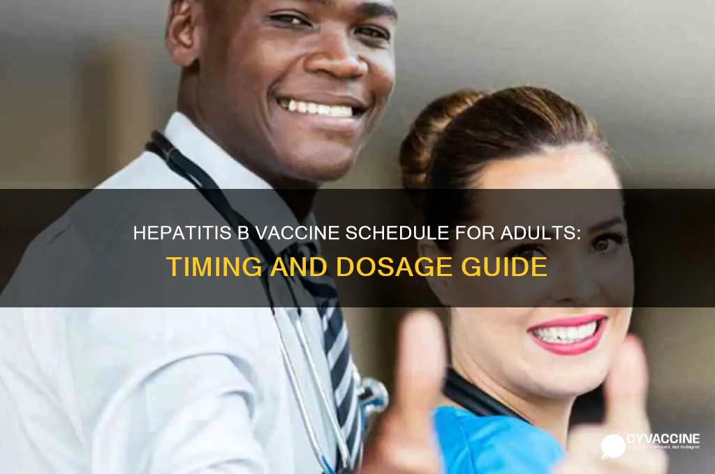 what is the hep b vaccine schedule for adults