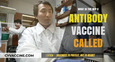Understanding the Hepatitis C Antibody Vaccine: Name and Function Explained