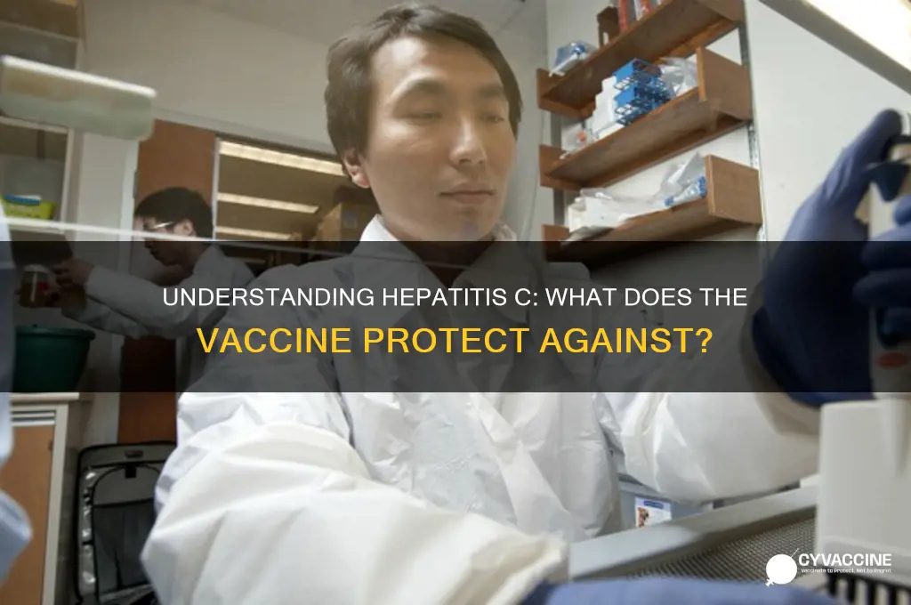 what is the hep c vaccine protect against