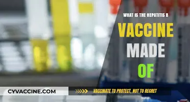 Understanding Hepatitis B Vaccine Composition: Key Ingredients Explained