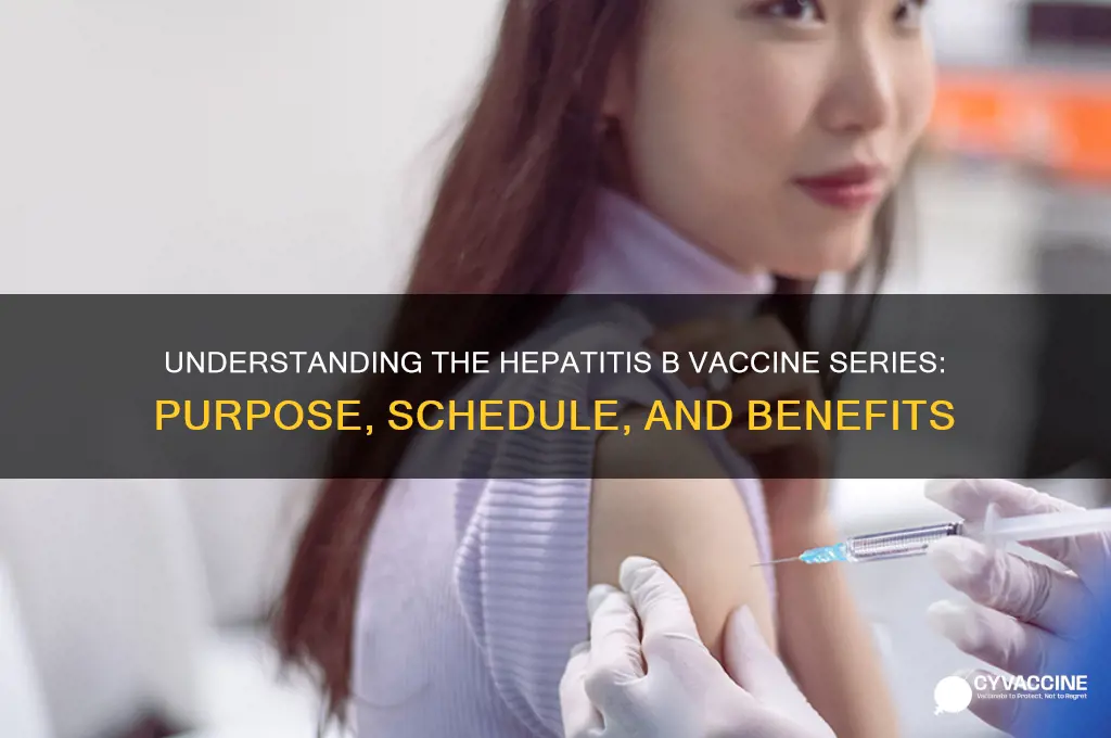 what is the hepatitis b vaccine series foe