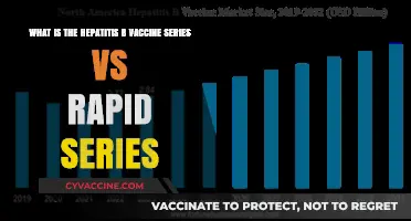 Hepatitis B Vaccine: Standard Series vs. Rapid Schedule Explained