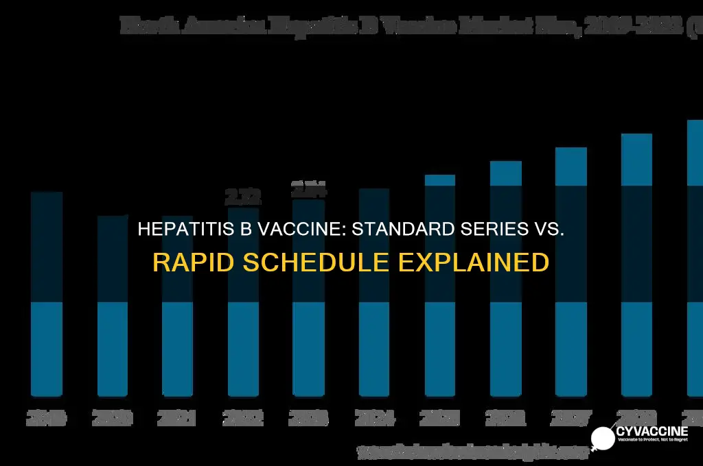 what is the hepatitis b vaccine series vs rapid series