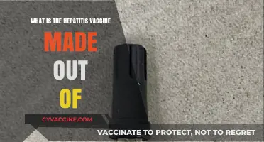 Understanding the Hepatitis Vaccine: Ingredients and Composition Explained