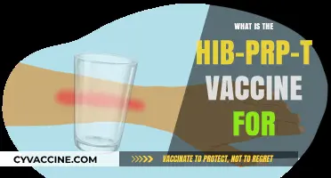 Understanding the Hib-PRP-T Vaccine: Uses, Benefits, and Importance