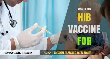 Understanding the Hib Vaccine: Purpose, Benefits, and Importance for Children