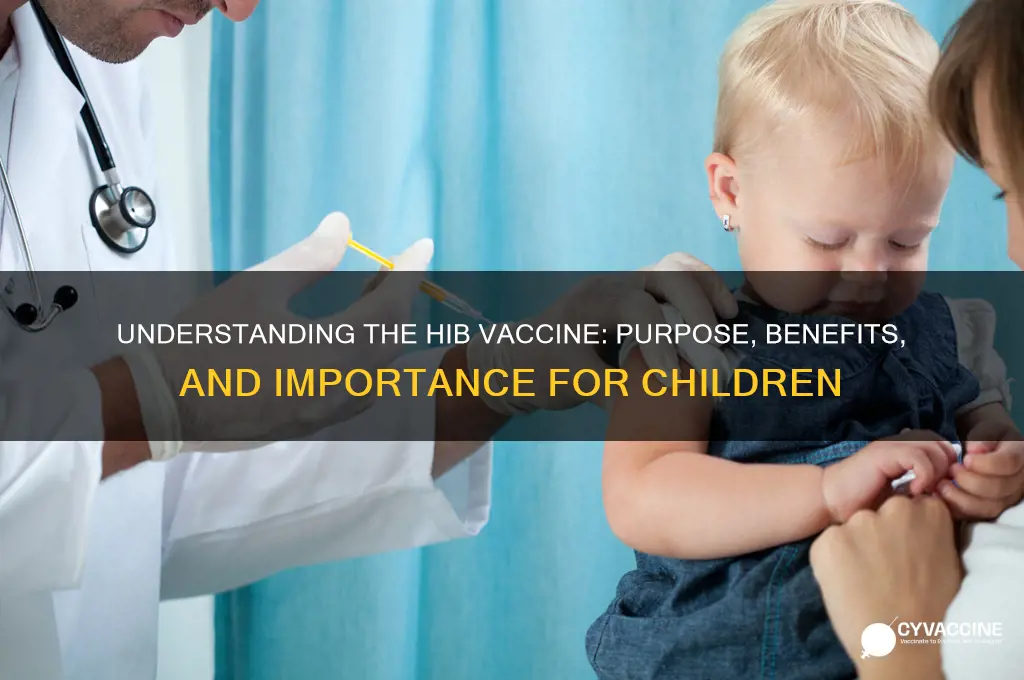 what is the hib vaccine for