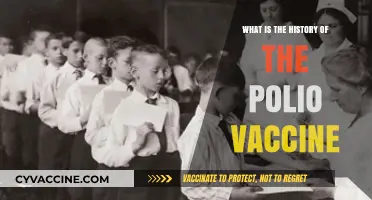 The Polio Vaccine: A Journey Through Its Historic Development