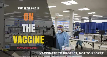 Why the Vaccine Rollout is Facing Delays: Unraveling the Hold-Up