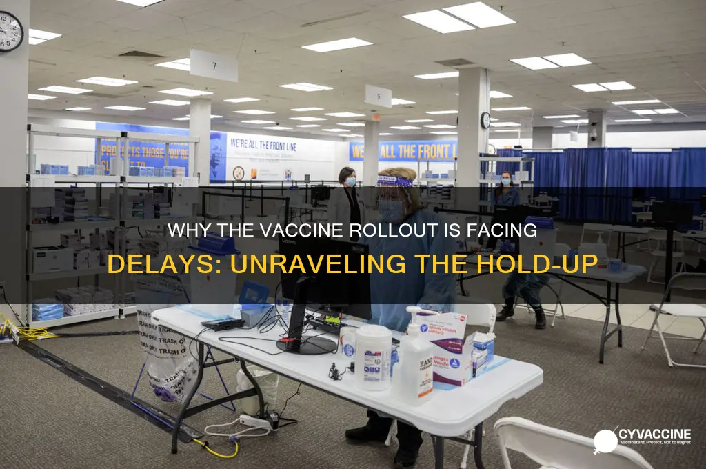 what is the hold up on the vaccine