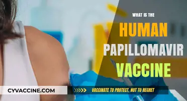 Understanding the HPV Vaccine: Protection Against Human Papillomavirus