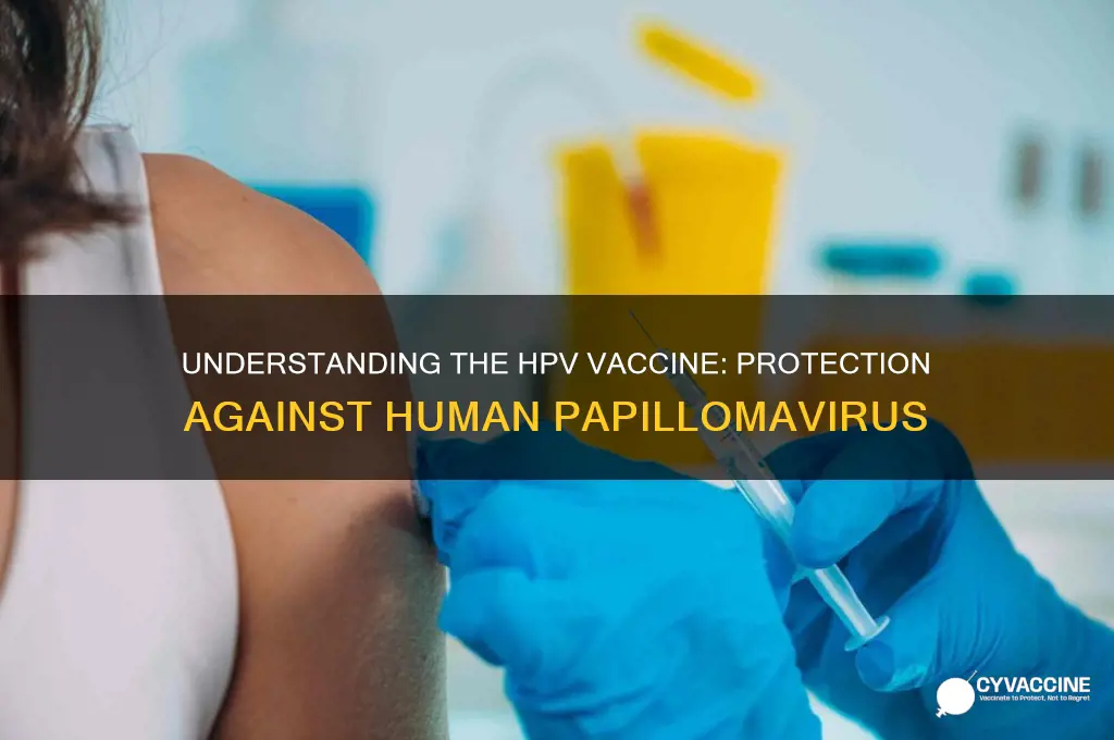 what is the human papillomavirus vaccine