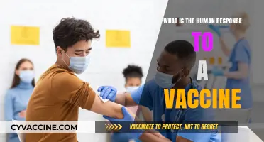 Understanding the Human Immune Response to Vaccines: A Comprehensive Guide