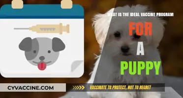 Crafting the Perfect Puppy Vaccine Schedule: A Comprehensive Guide