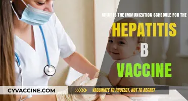 Hepatitis B Vaccine: Understanding the Immunization Schedule for Protection