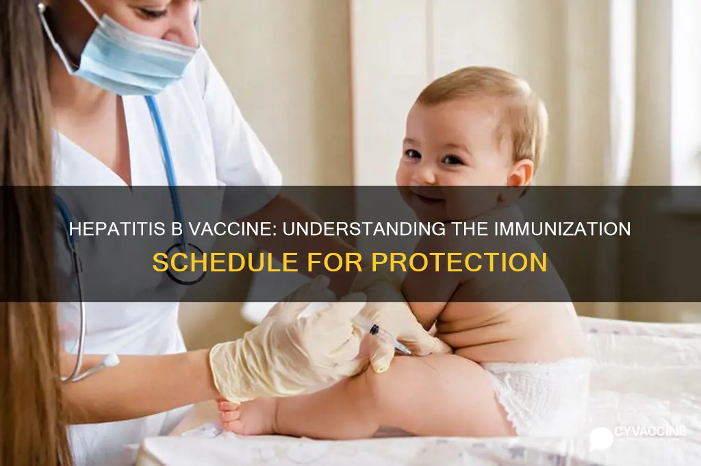 what is the immunization schedule for the hepatitis b vaccine