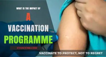 Vaccination Programmes: Transforming Public Health and Saving Lives Globally