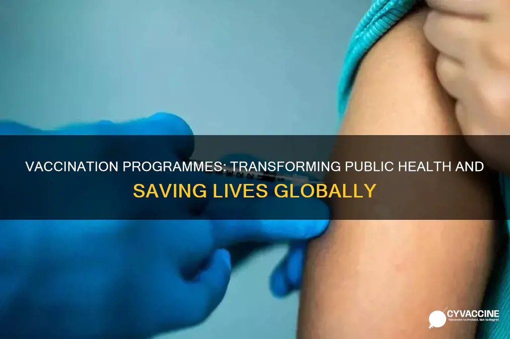 what is the impact of a vaccination programme