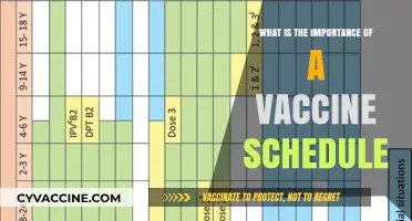 Vaccine Schedules: Why Timely Immunization Protects Lives and Communities