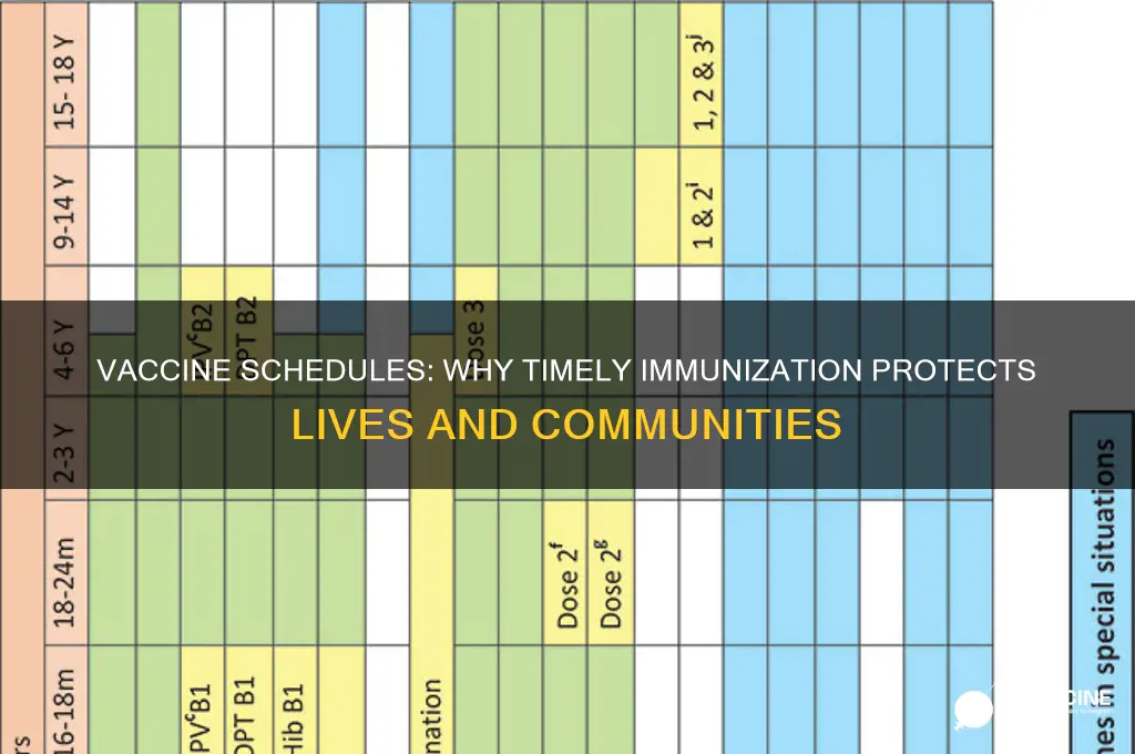 what is the importance of a vaccine schedule