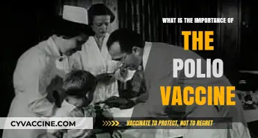 The Polio Vaccine: A Lifesaving Shield Against Crippling Disease