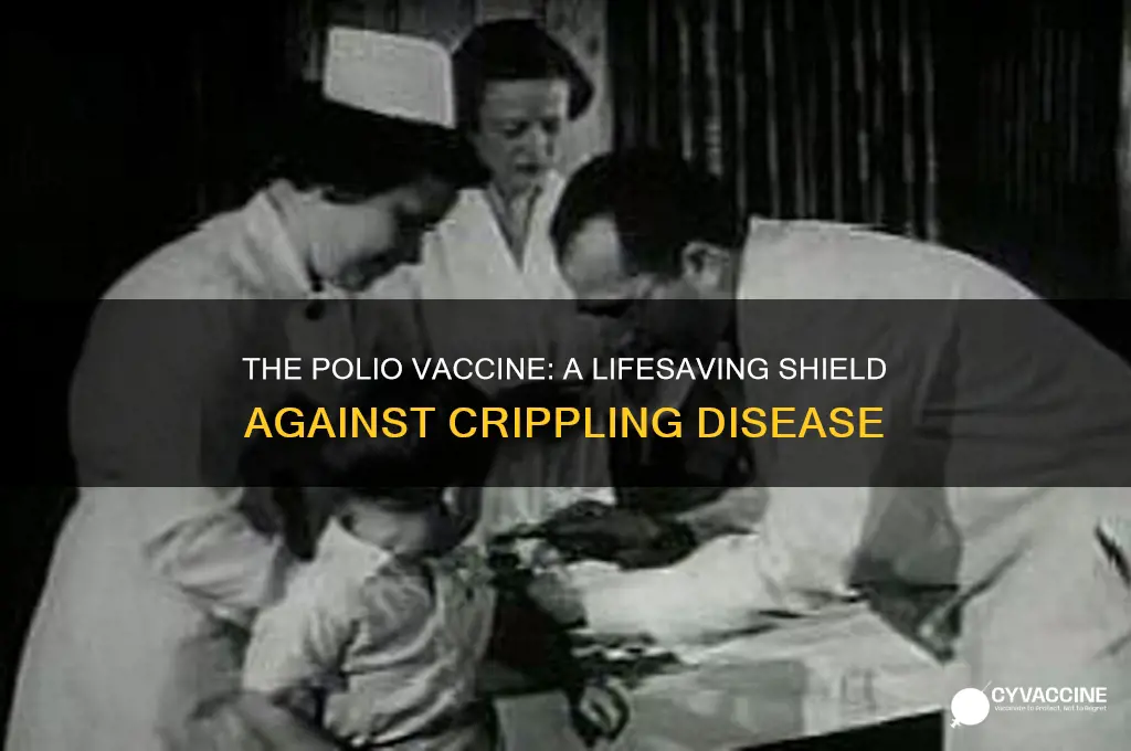 what is the importance of the polio vaccine