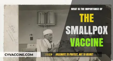 The Smallpox Vaccine: A Lifesaving Legacy and Global Health Triumph
