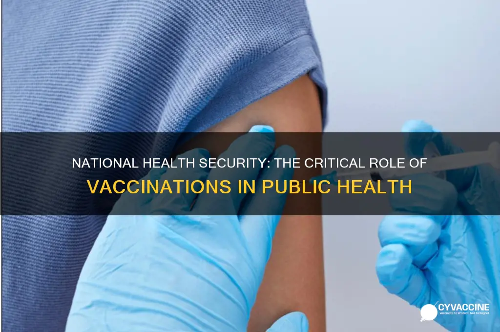 what is the importance of vaccinations on national level