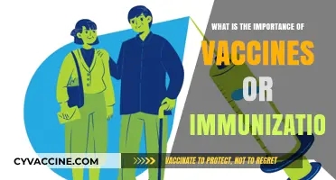 Vaccines: Safeguarding Health, Preventing Diseases, and Saving Lives Globally