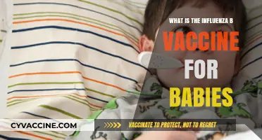 Influenza B Vaccine for Babies: Protection, Safety, and Benefits Explained