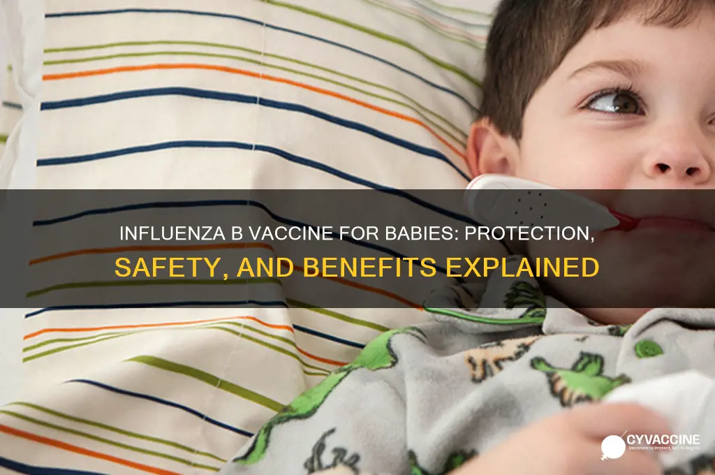 what is the influenza b vaccine for babies