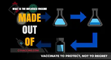 Understanding Influenza Vaccine Components: What's Inside the Flu Shot?