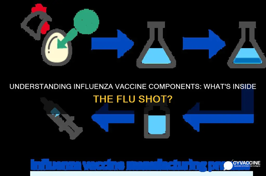 what is the influenza vaccine made out of