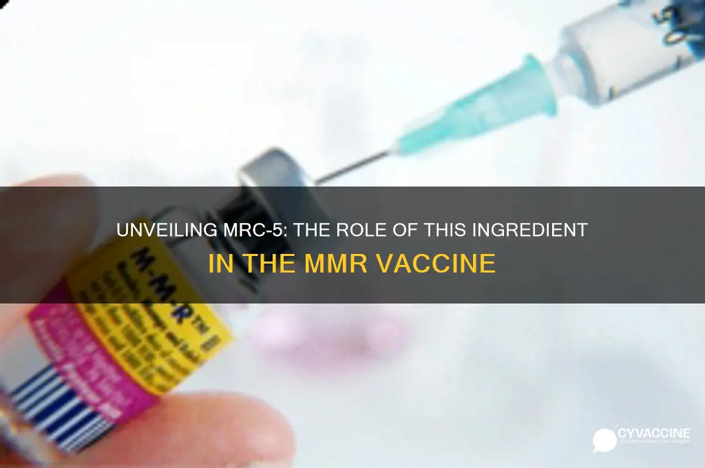 what is the ingredient mrc-5 in the mmr vaccine