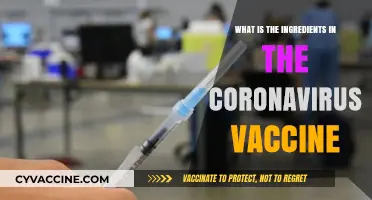 Understanding the Key Ingredients in COVID-19 Vaccines: A Breakdown