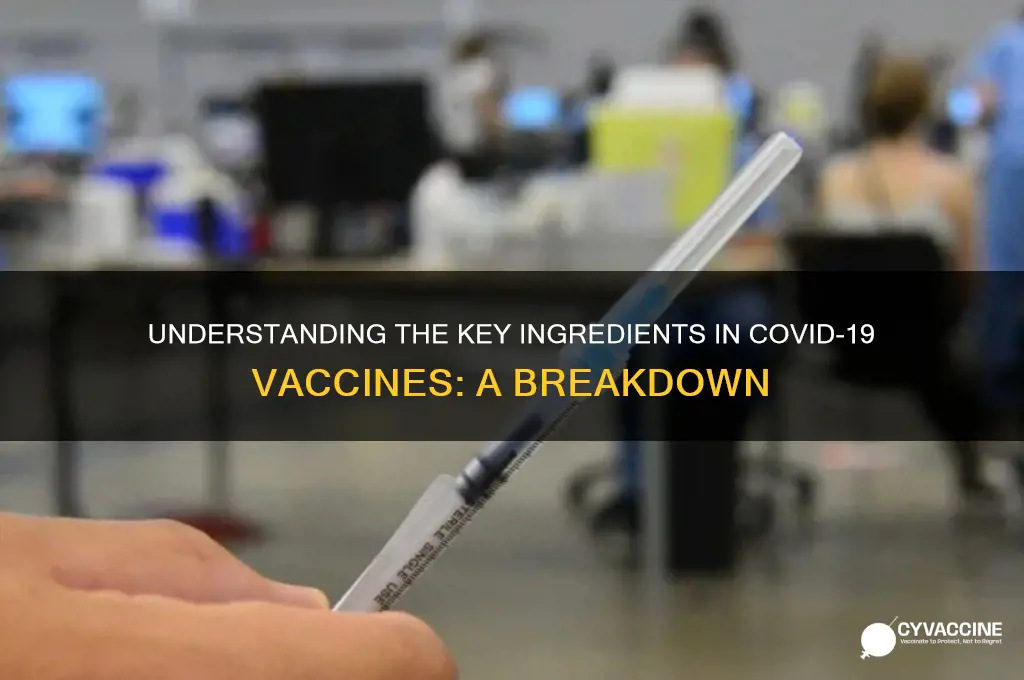 what is the ingredients in the coronavirus vaccine