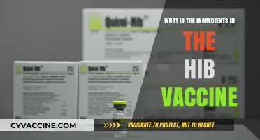 Understanding Hib Vaccine: Key Ingredients and Their Role in Immunity