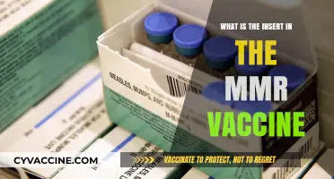 Understanding the Insert: What’s Inside the MMR Vaccine?