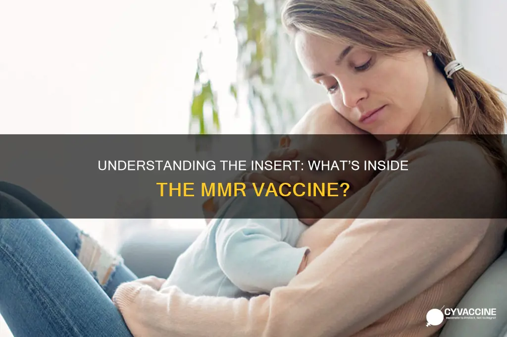 what is the insert in the mmr vaccine