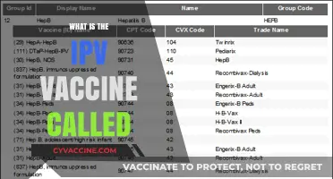 Understanding the IPV Vaccine: Its Official Name and Importance Explained