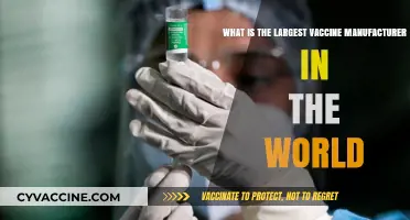 Who Leads Global Vaccine Production? The World's Largest Manufacturer Revealed