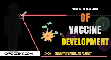 Final Phase Unveiled: Understanding the Last Stage of Vaccine Development