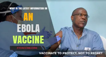 Latest Ebola Vaccine Developments: Breakthroughs, Trials, and Global Impact