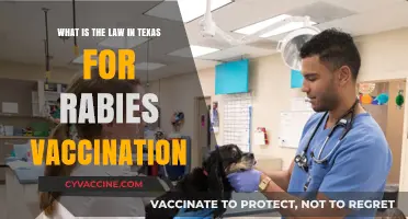 Texas Rabies Vaccination Law: Requirements, Penalties, and Pet Owner Responsibilities