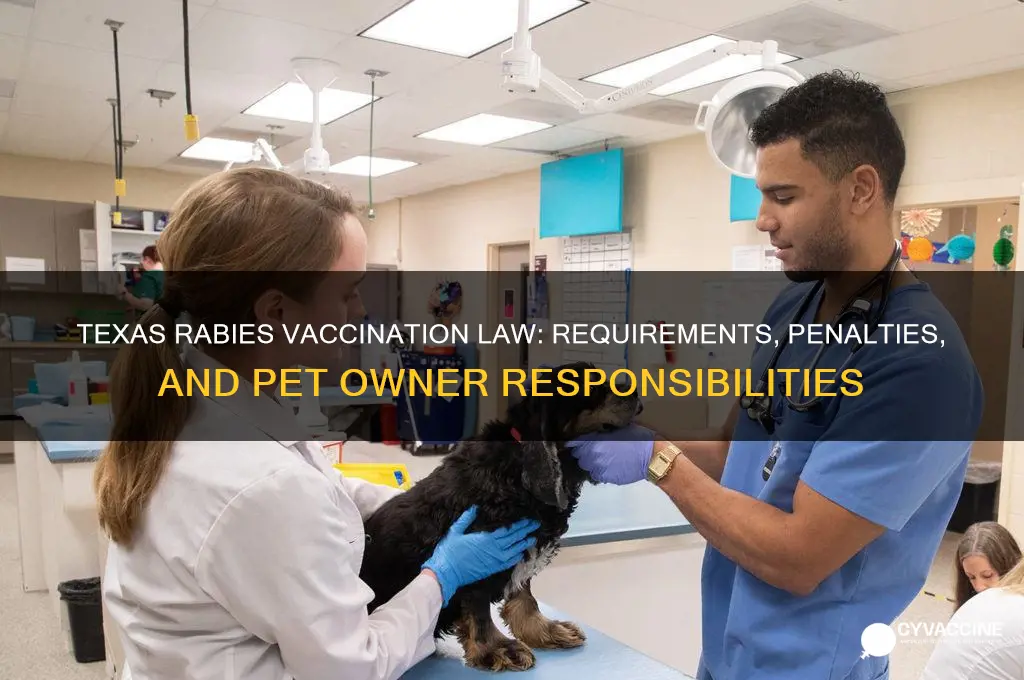 what is the law in texas for rabies vaccination