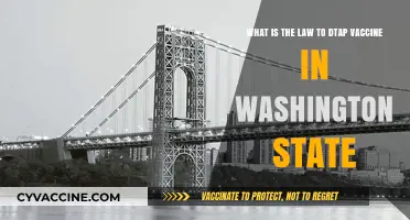Washington State's DTap Vaccine Law: Requirements and Compliance Explained