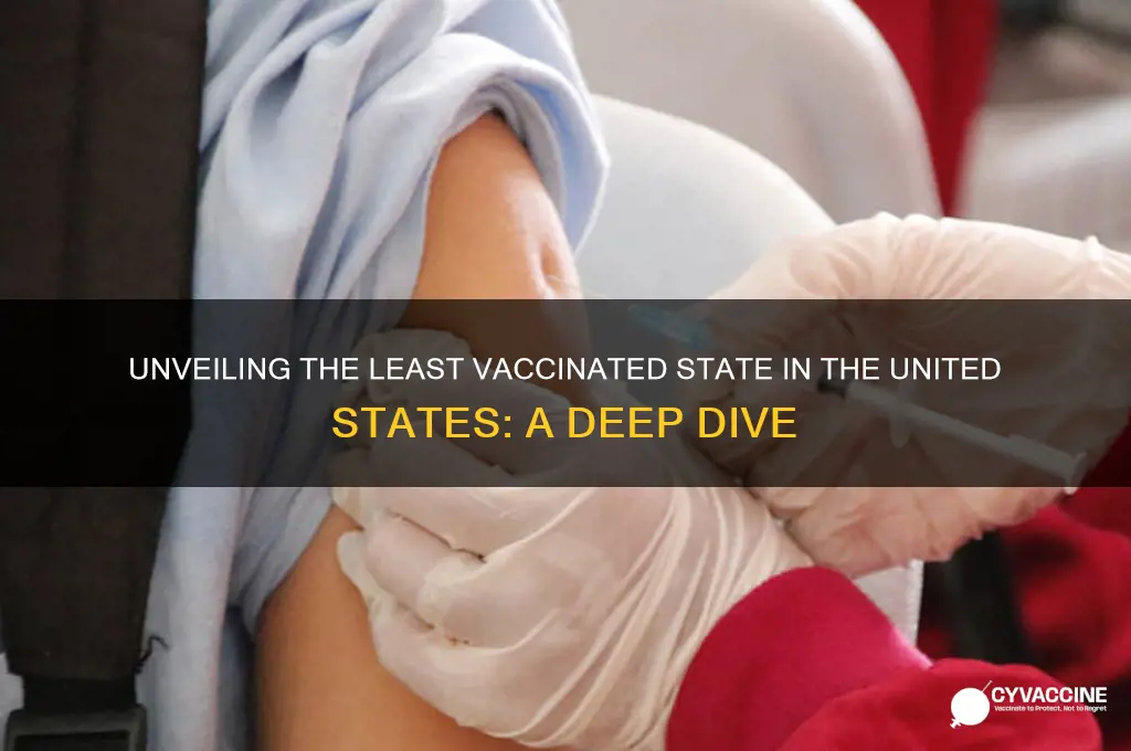what is the least vaccinated state in the united states